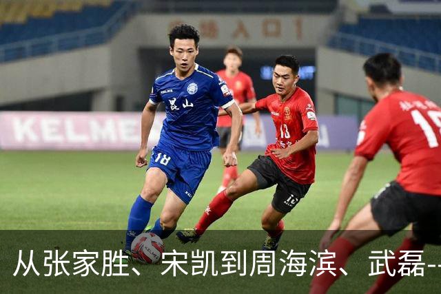 从张家胜、宋凯到周海滨、武磊--中国足球人的2024