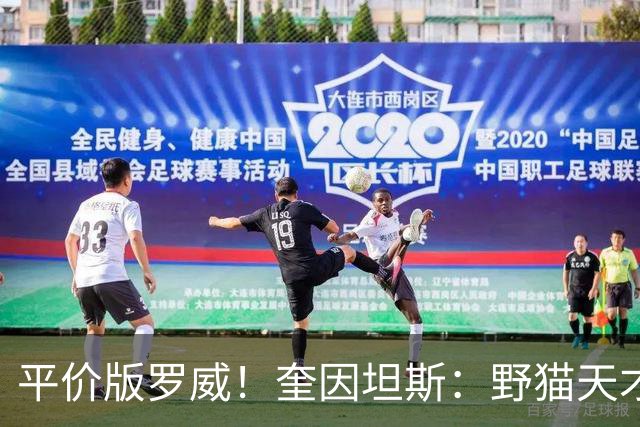 平价版罗威！奎因坦斯：野猫天才内线 存伤病隐患 罚球致敬米切罗