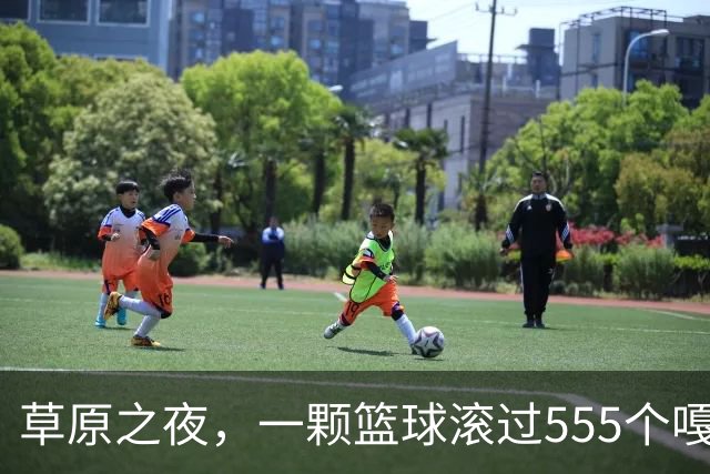 草原之夜，一颗篮球滚过555个嘎查村