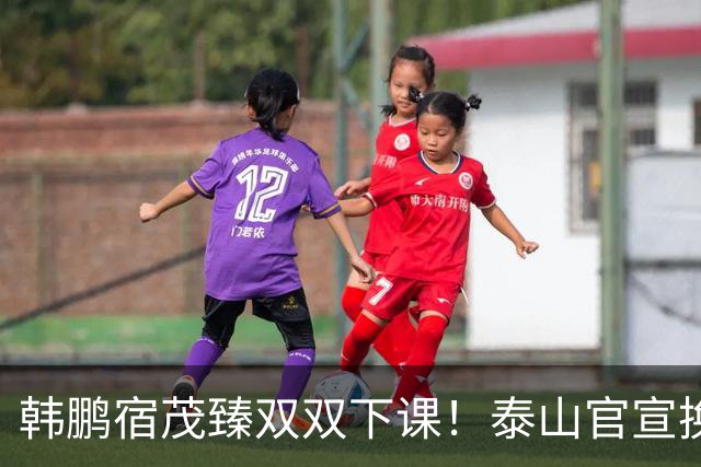 韩鹏宿茂臻双双下课！泰山官宣换帅，临时主帅是老熟人，韩鹏发声